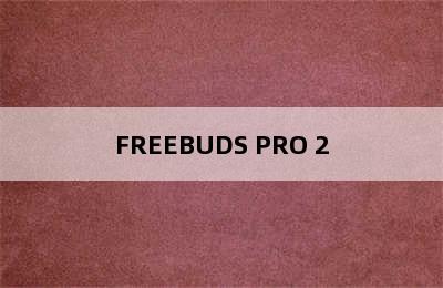 FREEBUDS PRO 2